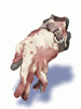 Icon of Executioner's Mitten