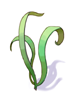 Icon of Singing Plant