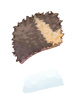 Icon of Black Bear Skin