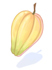 Icon of Cacao