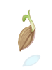 Icon of Sprout