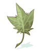 Icon of Huge Leaf