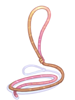 Icon of String