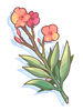 Icon of Poison Herb Nerium