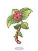 Icon of Poison Herb Rantana