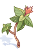Icon of Poison Herb Makulata