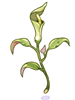 Icon of Poison Herb Seratum