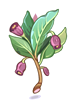 Icon of Poison Herb Scoporia