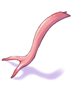 Icon of Reptile Tongue