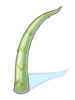 Icon of Pointed Scale