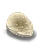 Icon of Scale Shell