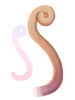 Icon of Yoyo Tail