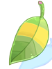 Icon of Raccoon Leaf