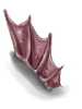 Icon of Fin